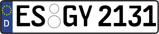ES-GY2131
