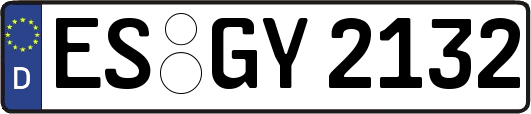 ES-GY2132
