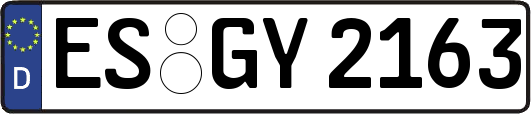 ES-GY2163
