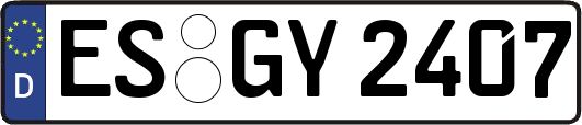 ES-GY2407