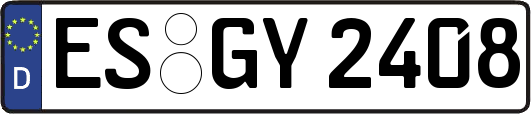 ES-GY2408