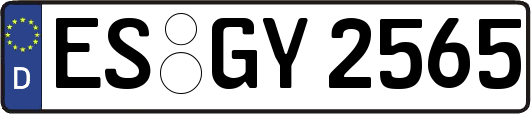 ES-GY2565