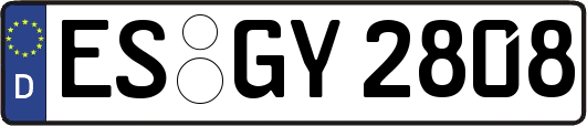 ES-GY2808