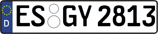 ES-GY2813