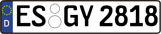 ES-GY2818