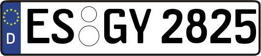 ES-GY2825