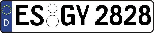 ES-GY2828