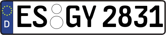 ES-GY2831