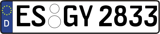 ES-GY2833