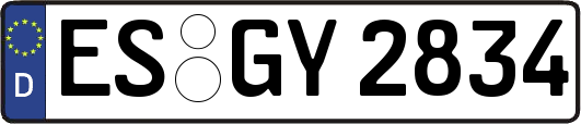 ES-GY2834