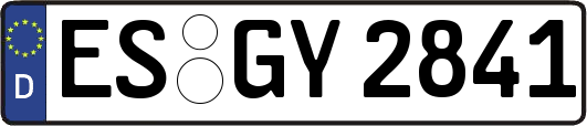 ES-GY2841