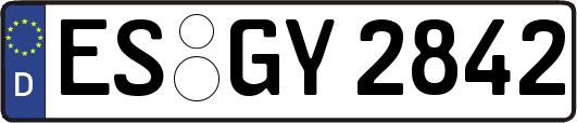 ES-GY2842
