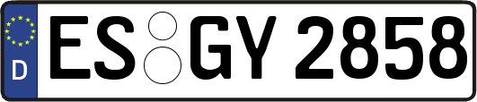 ES-GY2858