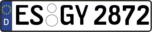 ES-GY2872