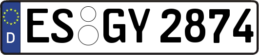 ES-GY2874