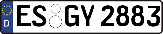ES-GY2883