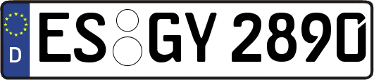 ES-GY2890