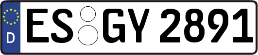 ES-GY2891