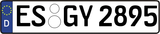ES-GY2895