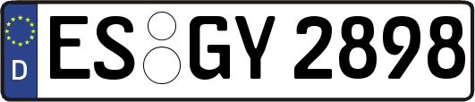ES-GY2898
