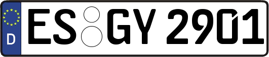 ES-GY2901