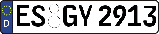 ES-GY2913