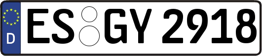 ES-GY2918