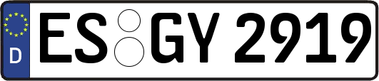 ES-GY2919