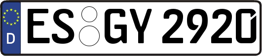 ES-GY2920