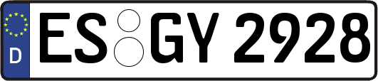 ES-GY2928