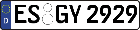 ES-GY2929
