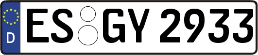 ES-GY2933