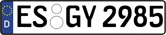ES-GY2985