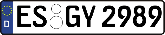 ES-GY2989
