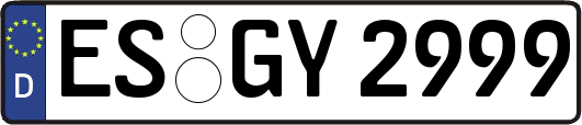 ES-GY2999