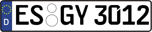 ES-GY3012