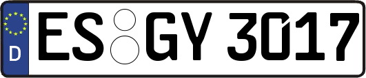 ES-GY3017
