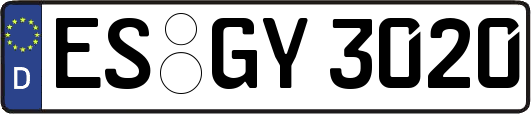 ES-GY3020