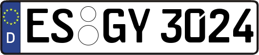 ES-GY3024