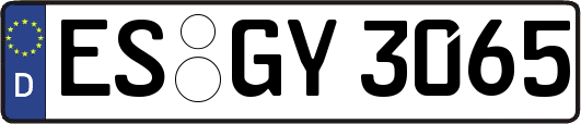 ES-GY3065