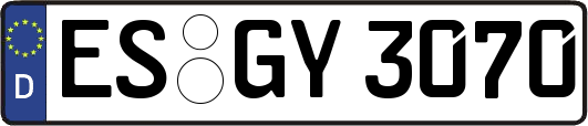 ES-GY3070