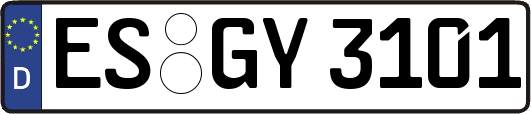 ES-GY3101