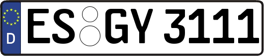 ES-GY3111