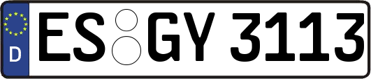 ES-GY3113