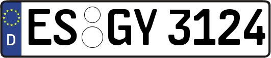 ES-GY3124