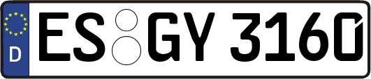 ES-GY3160