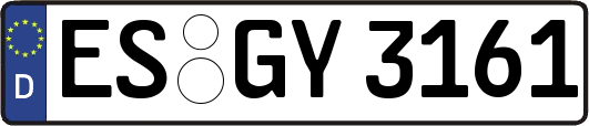 ES-GY3161