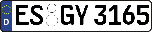 ES-GY3165