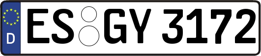 ES-GY3172