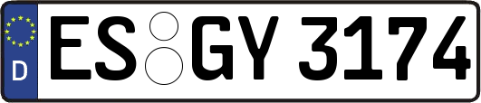 ES-GY3174